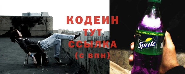 сатива Магас