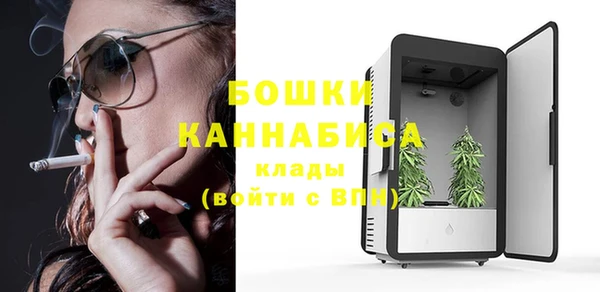 прущие грибы Майский