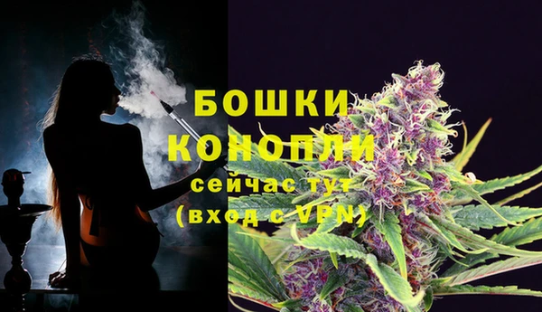прущие грибы Майский
