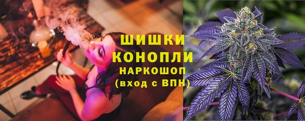 сатива Магас