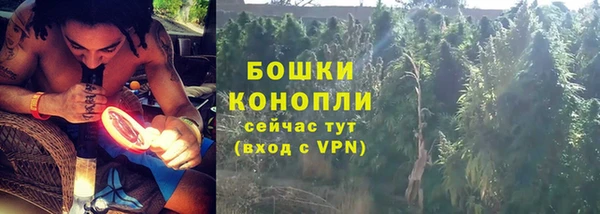 прущие грибы Майский