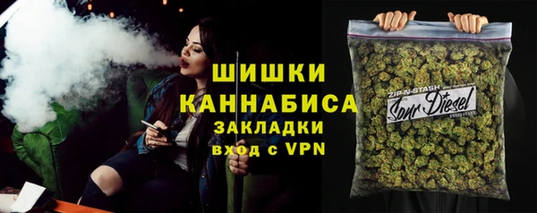 сатива Магас